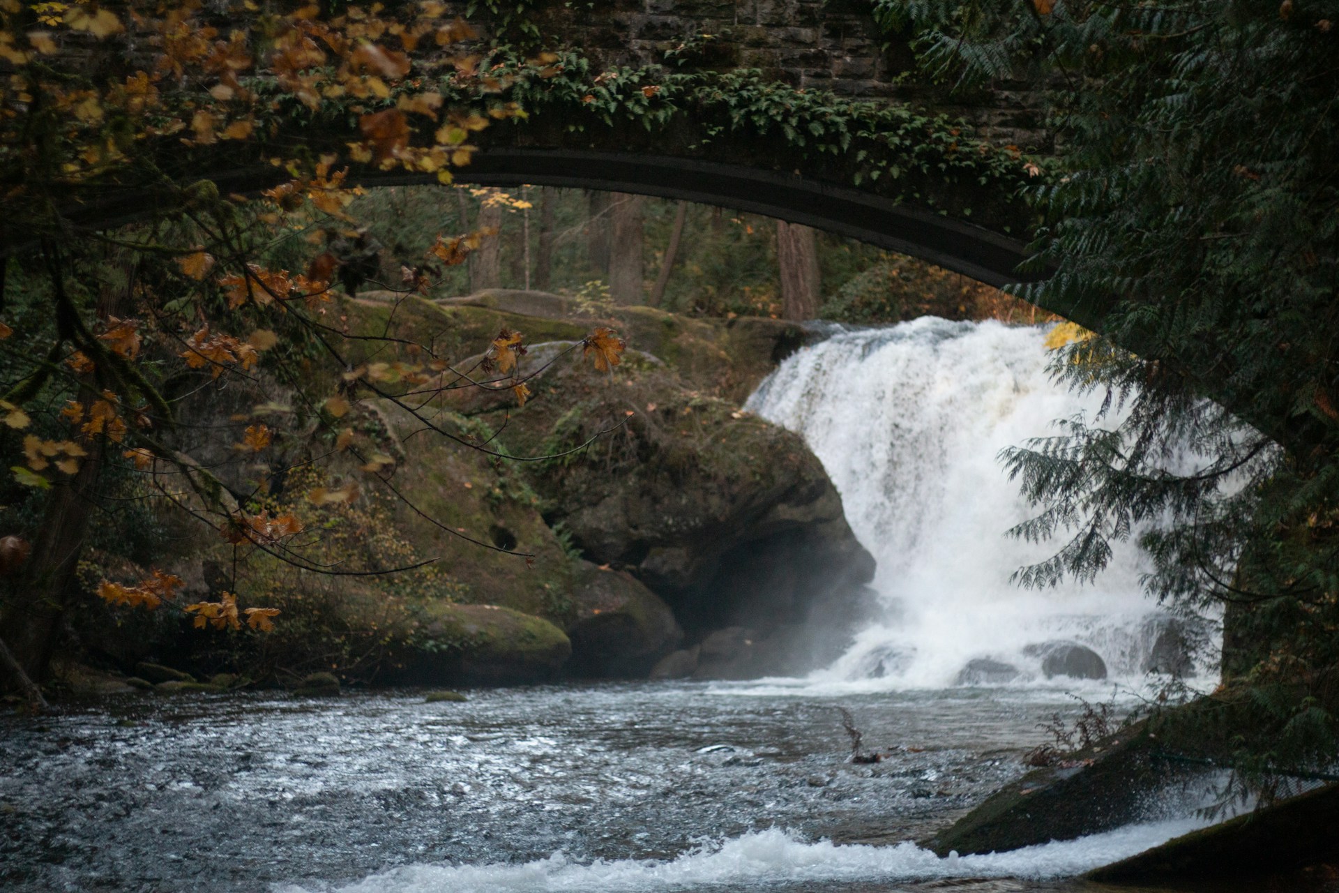 Whatcom Falls, Bellijngham, WA