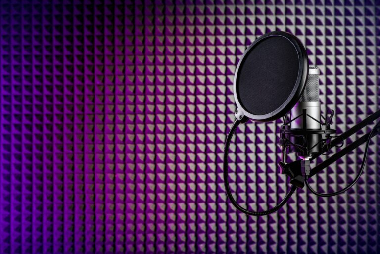 Professional microphone on the stand. Recording studio with acoustical wall panel.